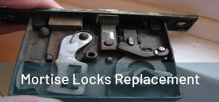 Mortise Locks Replacement