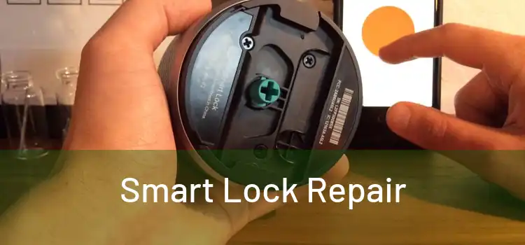 Smart Lock Repair